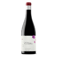DJP 'Villa de Corullon' Mencia 2010 image