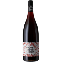 Grandes Esperances 'La Java' Gamay Cab image